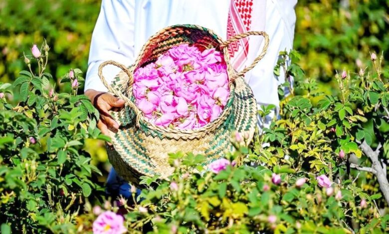 «ريف السعودية»: إنتاج 750 مليون وردة في 12 شهراً 1 IMG 9532