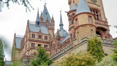 pexels photo 17815275